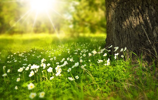 Campagna Amica, i buoni prodotti della terra